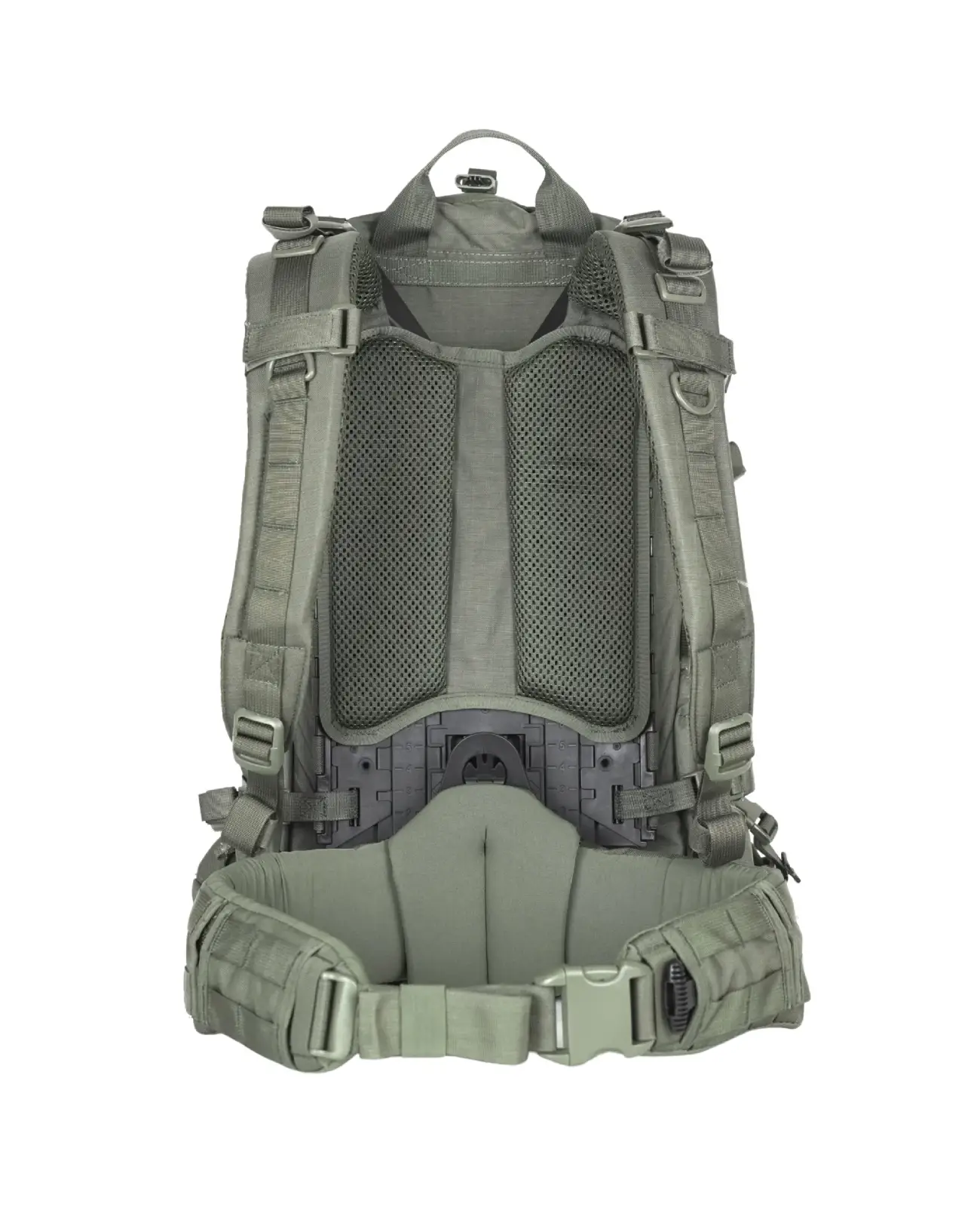Marom Dolphin Spotter 40 Bionic – 2