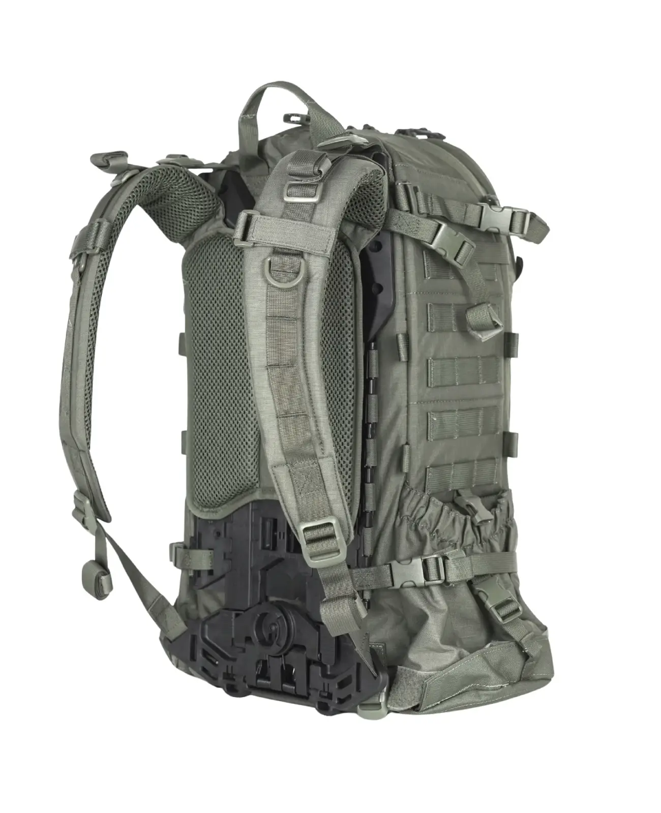 Marom Dolphin Spotter 40 Bionic – 6